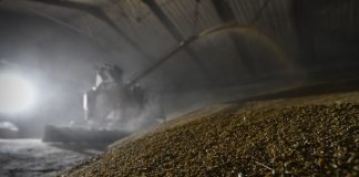 Китай уменьшил закупки российской пшеницы в 16 раз