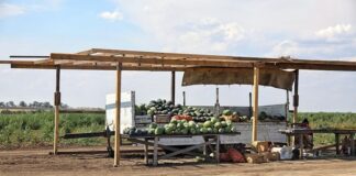 НБУ знову переглянув прогнози для інфляції та ВВП у бік погіршення