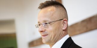 Сійярто заявив, що Україна нібито відмовляється розслідувати смерть угорця на Закарпатті