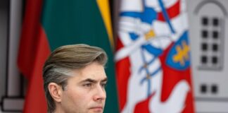 У Литві прагнуть перейняти досвід України у захисті від дронів
