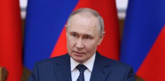 AFP повідомляє, що Путін погодився на зустріч із Зеленським, а Трамп прагне здійснити це якнайшвидше