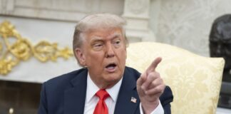 Трамп заявив про "дуже великі шанси" на швидку зустріч із Зеленським та Путіним
