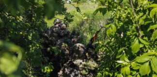 Резервні підрозділи вже досягли перших успіхів на Добропільському та Покровському напрямках