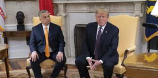 Politico: Трамп переконав Орбана зняти вето на вступ України до Європейського Союзу