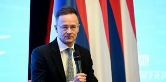 Сійярто назвав обнародуваний маршрут дрона з Угорщини в Україну "фейком"
