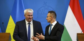 Сибіга поспілкувався з провідним дипломатом Орбана