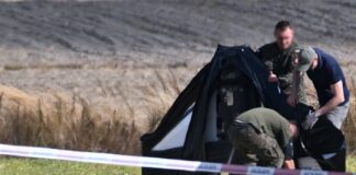 Збиття дрона в Польщі обійшлося НАТО в 400 000 євро, шукають інші варіанти