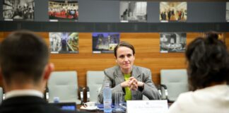 У МЗС Румунії назвали порушення російським дроном провокацією та закликали до санкцій
