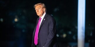 Трамп: Зеленський і Путін ненавидять один одного, я змушений втрутитися для їхнього діалогу