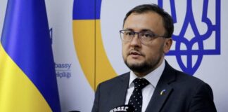 Посол щодо справи вибуху Північних потоків: Київ не втручається, проте буде захищати українця