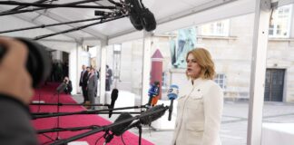 Прем’єр-міністр Латвії вважає ідею створення "Стіни дронів" надто сирою