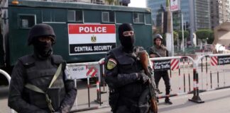 У Єгипті в ДТП загинули три дипломати з Катару напередодні саміту щодо сектору Газа
