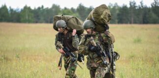 Безпілотники невідомого походження завадили нідерландським військовим під час навчань НАТО у Польщі