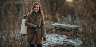 Осіння обробка саду — дерев і кущів осіння обробка саду