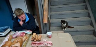 Ціни на м’ясо досягли історичного рекорду заявляє ООН
