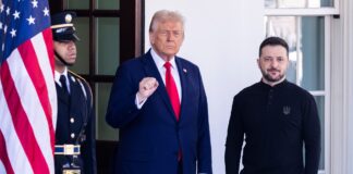 Зеленський прагне зустрітися з Трампом у День подяки для завершального обговорення миру