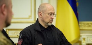 Шмигаль: Плануємо розпочати виробництво літаків Gripen в Україні з 2033 року