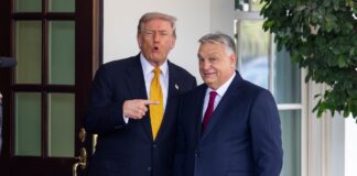 Орбан обговорив з Трампом війну РФ проти України та зазначив, що має ідеї щодо її завершення