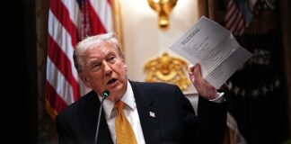 Трамп: Зеленському доведеться прийняти план США або продовжити боротьбу