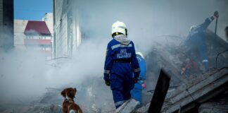 Ніндзя та її людина: як кінолог з Київської області шукає людей під завалами