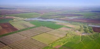 Протягом чотирьох років в Україні продали більше 30 тисяч земельних ділянок