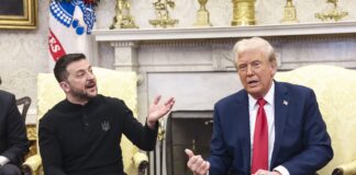 WSJ: Зеленський не відкидає план Трампа, а перетворює його за принципом "так, але…"