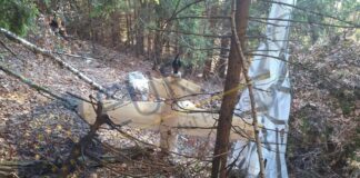 У Румунії в лісі виявили невідомий дрон з парашутом