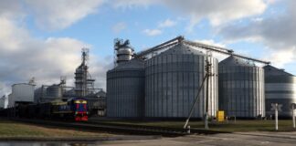 В Україні зібрано близько 60 млн тонн зернових культур
