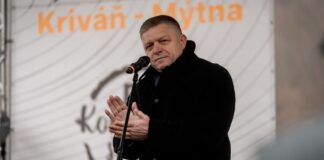 Словаччина готова до моніторингу миру в Україні, але без залучення армії, заявив Фіцо