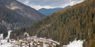 В Україні на третину збільшилися надходження від турзбору