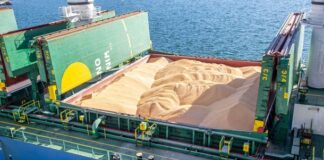 Понад 100 млн тонн зерна експортовано морським шляхом – Кулеба