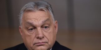 Орбан надіслав Зеленському відкрите звернення: скарги через "Дружбу", війну та вибори