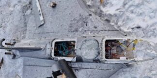 Флеш: Росія вперше використовувала безпілотник "Гербера" як платформу для FPV-дрону – фото