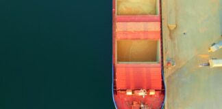 ЗМІ: США витісняють українську кукурудзу з європейського ринку