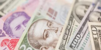 Після інциденту з інкасаторами в Угорщині НБУ проведе обмін безготівкової валюти на готівку для банків