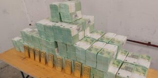 У НБУ пояснили, чи вплинуть кроки Угорщини на курс