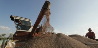 Туреччина сьогодні: Росія залучила приватний сектор до продажу викраденого українського зерна в Сирію