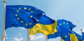 Деякі країни побоюються розширення ЄС через феномен "польського сантехніка" та інші фактори