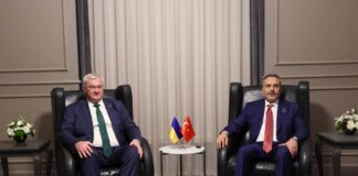 "Може прискорити мирний процес": Київ звернувся до Туреччини щодо саміту Зеленського і Путіна