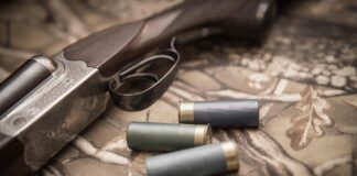 Національна поліція розповіла, яка зброя перебуває на руках у громадян України