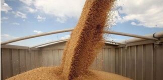 Експорт агропродукції у березні зріс на 10,8 відсотка