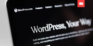 Бекдори в десятках плагінів для WordPress: які можуть бути ризики