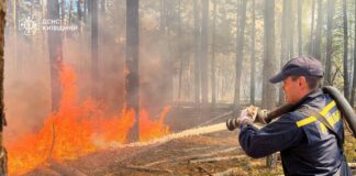 У Чорнобильській зоні гасять великий пожежу – відео, фото