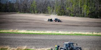 Українські сільгоспвиробники засіяли 83% площ під зерновими культурами