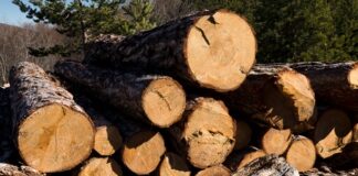 В Україні рекордно зростає попит на дрова