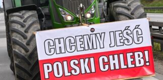 Польща продовжить заборону на окремі види українського агроімпорту