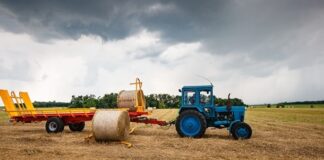 Блокада морских портов: ситуация в агросекторе хуже, чем в 2022 году