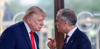 Канада введет зеркальные пошлины в ответ на тарифы США на 20 млрд долларов канада сша пошлины