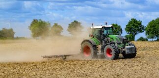 Україна вивезла альтернативними маршрутами 1,423 млн тонн агропродукції, третину потенціалу за оцінкою Мінагрополітики експорт українського зерна