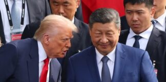 Віта Голод: візит Сі Цзіньпіна до Трампа навряд чи вплине на фронт в Україні цзіньпін дональд трамп